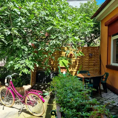 Casa Aron *