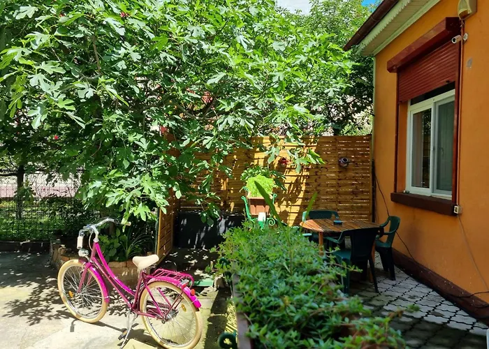 Casa Aron *